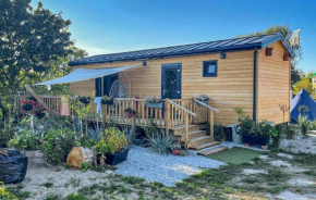 Amazing Home In Wapnica With Sauna, Wapnica